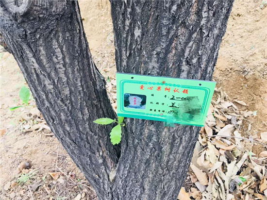 1577086245503945.jpg 13.jpg