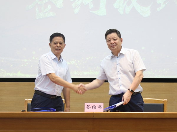 1597119202474056.jpg 6.jpg